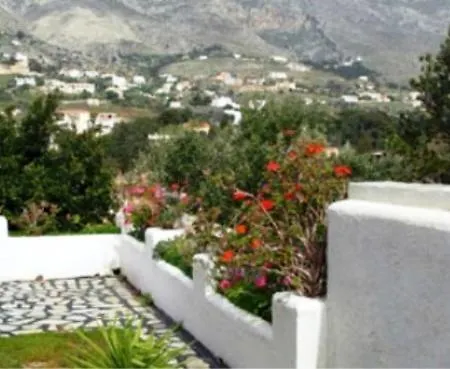 Afroditi マスーリー