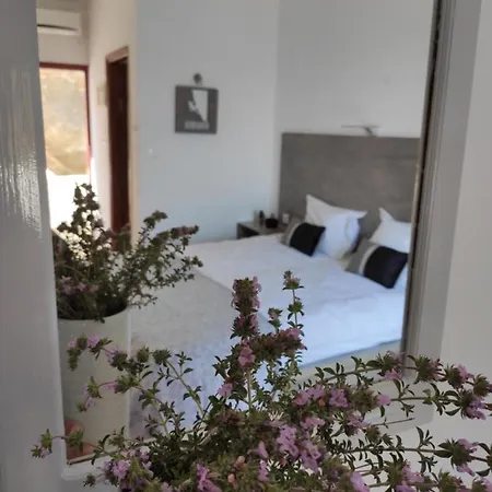 Afroditi Масурион