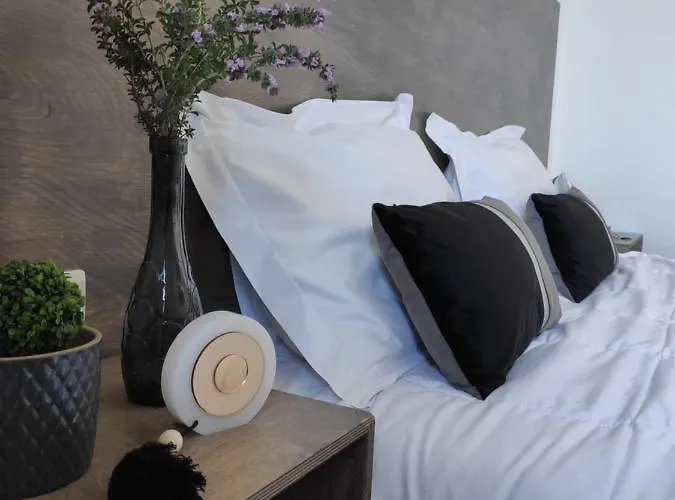 Afroditi And 公寓式酒店 2*